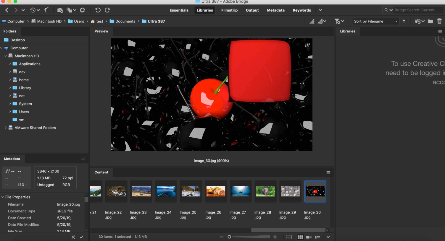 Adobe Bridge – File Management Tool For Designers
